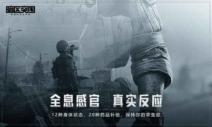 暗区突围辅助瞄准器下载,绿色资源网_生存游戏战术策略_暗区突围自瞄透视辅助